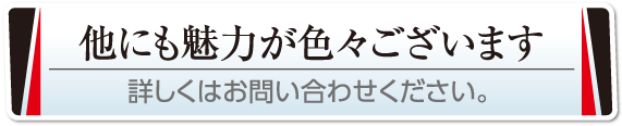 詳しくはお問い合わせください。