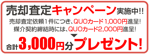 仲介手数料不要